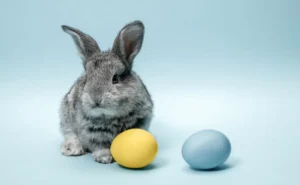 conejos de pascua